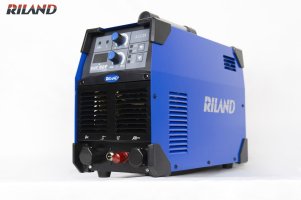 CUT 60P CS16 size nhỏ wed.jpg