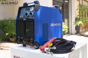 CUT 100GT CS1 size nhỏ wed.jpg